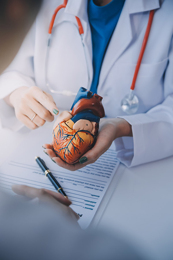Doctor explaining heart to elderly patient. Doctor explaining th